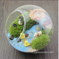 Hangende glazen bol Bol Plant glazen terrarium